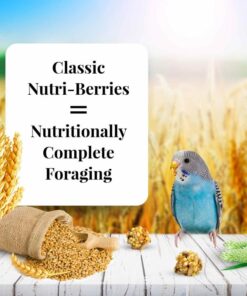 LAFEBER'S Classic Nutri-Berries Pet Bird Food, Made with Non-GMO and Human-Grade Ingredients, for Parakeets (Budgies), 4 lb 4.00 Pound (Pack of 1) 9 61VK3aH0HkL