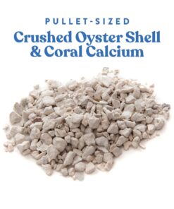 Manna Pro Crushed Oyster Shell Calcium Supplement For Laying Chickens - Poultry Treat - 5 lbs. 5 Pound (Pack of 1) 27 61VKHURbguL