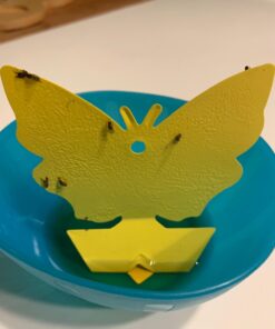 Trappify Sticky Gnat Traps for House Indoor - Yellow Fruit Fly Traps for Indoors/Outdoor Plant - Insect Catcher White Flies, Mosquitos, Fungus Gnat Trap, Flying Insects - Disposable Glue Trapper (12) 12 47 61VRqwDtaL