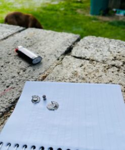 Crosman Premier LPPH77 .177-Caliber Piranha Pellets (400-Count) 31 61VVkHv1rL