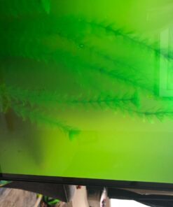 SunSun JUP-01 9W UV Sterilizer Submersible Filter Pump 88 61VXPLoNcnL