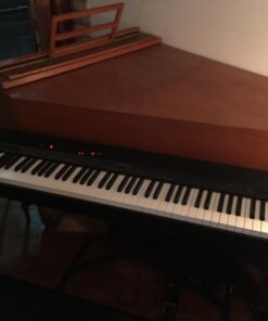 Casio Privia PX-160BK 88-Key Full Size Digital Piano with Power Supply, Black 45 61VhOtSMNkL