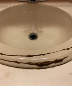 Now Foods Fresh Green Black Walnut Wormwood Complex, 2-Ounce 26 61VwOegOUCL