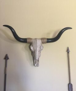 Long Horn Cow Skull Wall Hanging Longhorn Steer 26 61VxdTnBVDL