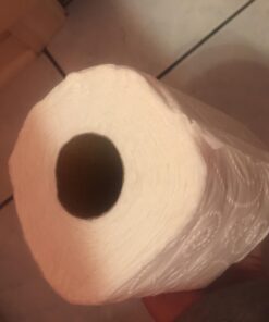 ANGEL SOFT Toilet Paper Bath Tissue, 48 Double Rolls, 260+ 2-Ply Sheets Per Roll 59 61W1SQaWKzL