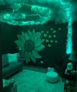 Fairfield The Original Poly-Fil, Premium Polyester Fiber Fill, Soft Pillow Filler, Stuffing for Stuffed Animals, Toys, Cloud Decorations, and More, Machine-Washable, 5 lbs. Box, White 5 lb 41 61W3W o8EML