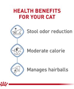 Royal Canin Indoor Adult Dry Cat Food, 15 lb bag 15 Pound (Pack of 1) 23 61W4Qk4rIgL