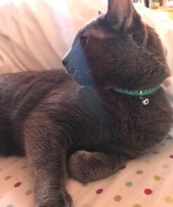 Petmate Aspen Pet Breakaway Fashion Collar, 3/8" x 8-12", Sub Geo Blue 3/8" x 8-12" 32 61W58Q3hbWL