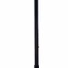 Essential Medical Supply Endurance Offset Handle Cane, Black 17 61W6kMz4l6L