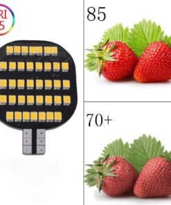 GRV T10 LED Light Bulb 38-2835 SMD Super Bright Lamp DC 12-24V 3.5Watt Version3.0 Suitable for Boat RV Trailer Camper Motorhome Ceiling Dome Warm White Pack of 2 Pack of 2(2 Generation) 12 61WIMz2JMQL