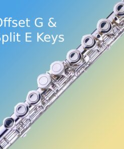 Mendini By Cecilio Flutes - Closed Hole C Flute For Beginners, 16-Key Flute with a Case, Stand, Lesson Book, and Cleaning Kit, Musical Instrument for Kids, Nickel Plated 16 61WIyxfViCL