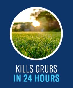 BioAdvanced 24-Hour Grub Plus for Lawns Ant, Tick, and Insect Killer, 10-Pounds, Ready-to-Spread Granules, Standard Bag 24 61WKwLBaP0S