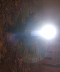 Monstrum 90 Lumens LED Flashlight with Rail Mount and Detachable Remote Pressure Switch Flat Dark Earth 24 61WMjmrFFL