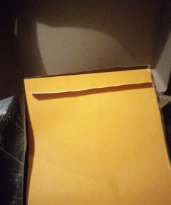 Amazon Basics Catalog Mailing Envelopes, Peel & Seal, 9x12 Inch, Brown Kraft, 100-Pack 9 x 12 21 61WPcCpWQSL