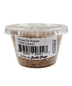 Alternative view of Josh's Frogs House Fly Pupae (1000 Count) 1000 Count