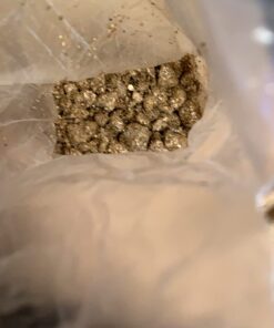 Brown Rice Flour Mushroom Substrate Grow Bag 11 61WgjhFmMFL