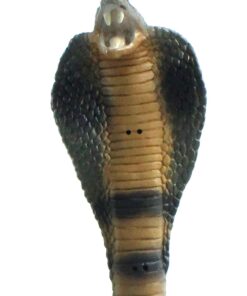 Safari Ltd. Cobra Figurine - Detailed 36" Flexible, Plastic Model Figure - Fun Educational Play Toy for Boys, Girls & Kids Ages 18 Months+ 30 61WsJ1Fc0OL