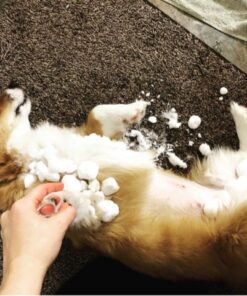 Dog Comb for Removes Tangles and Knots - Cat Comb for Removing Matted Fur - Grooming Tool with Stainless Steel Teeth and Non-Slip Grip Handle - Best Pet Hair Comb for Home Grooming Kit - Ebook Guide 34 61WsrwzsiaL