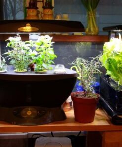 AeroGarden Classic 6 with Gourmet Herb Seed Pod Kit 41 61X h99WwTL