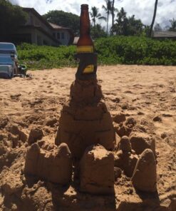 SunChaser Drink Holder for Cups and Bottles, Holds Cans and Tumblers - Comes with Drink Stake, Beverage Holder with Strap and Suction for Boats - Cupholder Gift - Graphite Grey 17 61X4YG5uQLL