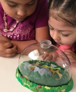 Insect Lore Live Ladybug Growing Kit Toy -unisex-children Original Ladybug Land 37 61X6QmfPEL