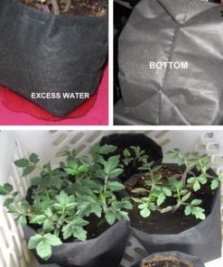 Easy Gardener 21041MJ 3-Foot by 50-Foot 15 Year Landscape Fabric 23 61X7j4ZjIGL