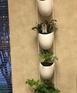 MyGift 4-Tier White Ceramic Hanging Wall Planter with Rope - Decorative Succulent Herb Flower Pot Containers 37 61X9Z0 M2vL