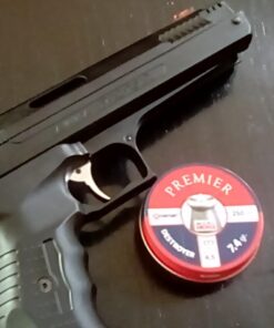 Beeman Sportsman Series Deluxe Air Pistol - Model 2004 34 61XBkTRie L