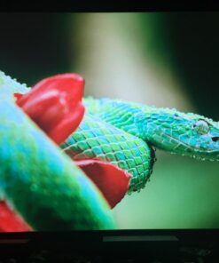 AV Access HDBaseT 4K HDMI Extender Over Single Cat5e/6/6a/7 Ethernet, HDMI 2.0 YUV4:4:4, EDID, PoE, Bi-Directional IR/RS232 Pass Through, HDR10, CEC, up to 4K@60Hz 130ft, 1080P@60Hz 230ft HDMI Extender (4KEX70-H2) 36 61XJHkMbMrL