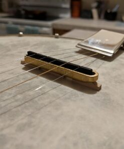 Gold Tone Ultimate Banjo Mute 15 61XLqi8sv9L