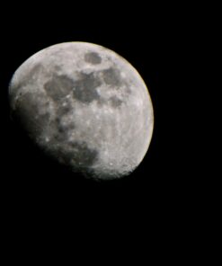 Opteka 500mm/1000mm f/8 Manual Telephoto Lens for Nikon F-Mount D6, D5, D4, DF, D850, D810, D780, D750, D700, D610, D500, D7500, D7200, D7100, D5600, D5500, D5300, D5200, D3500, D3400, D3300, D3200 54 61XMYjqziL