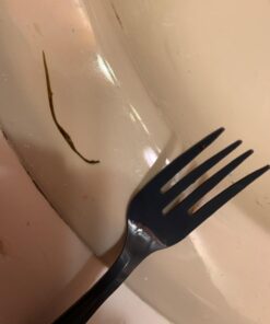 Now Foods Fresh Green Black Walnut Wormwood Complex, 2-Ounce 27 61XPc5eCV9L