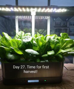 AeroGarden Mixed Romaine Lettuce Seed Pod Kit (6-pod) 6-pod 30 61XSbnmOpYL