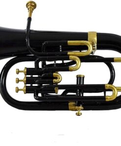 Nasir Ali Bb Euphonium Black 4 Valve 7 61XTzbdEFL