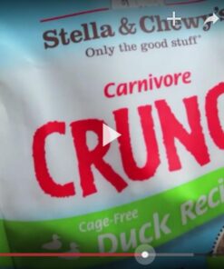 Stella & Chewy's Freeze-Dried Raw Carnivore Crunch Cage-Free Duck Recipe Dog Treats – 3.25 oz. Bag 3.25 Ounce (Pack of 1) 36 61Xc1tts wL 1