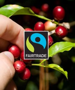 Gourmesso 50ct Flavored Espresso Pods | Int.5 | Proudly Fairtrade | Compatible with Nespresso Original Capsule Machines | Caramel Vanilla Chocolate Hazelnut Coconut | Medium Roast 50ct Flavors Bundle 10 Count (Pack of 5) 31 61Xi3j3jraS