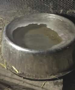 K&H Pet Products Thermal-Bowl Outdoor Heated Cat & Dog Water Bowl Stainless Steel 102 Ounces 18 61XnZEsTlL