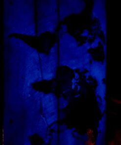 Neon Nights Fluorescent Glow in The Dark Powder, Safe, Long Lasting Non-Toxic Luminous Pigments for Epoxy Resin, Slime, Nails, Acrylic Paint, DIY Crafts, Neon Colored Paint Powder - Blue, 100g/3.5 oz Sky - Blue 27 61XoBru1MZL