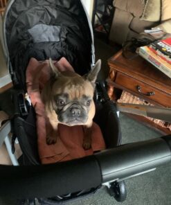 Graco Modes Pramette Travel System, Includes Baby Stroller with True Pram Mode, Reversible Seat, One Hand Fold, Extra Storage, Child Tray and SnugRide 35 Infant Car Seat, Ellington Modes Pramette w/ Infant Pramette Mode 48 61Xp7lw5Y9L