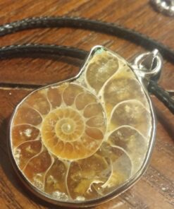 JOYA GIFT Charm Handmade Natural Conch Fossil Ammonite By Silver Wrapped Pendant Necklace (1 PCE). 53 61Xu0ELfpL
