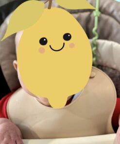 PandaEar Set of 3 Cute Silicone Bibs for Babies & Toddlers (10-72 Months) Waterproof, Soft, Unisex, Non Messy (Brown/Blue/Green) 26 61XxcqtjJUL