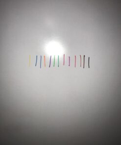 June Gold 32 Assorted Colored Dry Erase Whiteboard Markers, Fine/Bullet Tip, 2 sets of 13 Unique Colors With 8 Black Markers, Low Odor, Slim Barrel & Vivid Lines 32 Colored Bullet Tip Markers 23 61Y ckGiCUL
