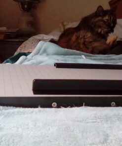 Dahle 15e Vantage Paper Trimmer, 15" Cut Length, 15 Sheet, Automatic Clamp, Adjustable Guide, Metal Base with 1/2" Gridlines, Guillotine Paper Cutter Cut Length: 15" 33 61Y1Ql4r65L