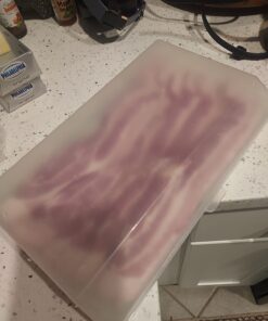 Home-X Bacon Saver, Plastic Bacon Container/Kitchen Meat Saver Storage Container 14 61Y1lMLTvL