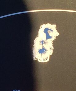 Pinty Tactical 1x40mm Reflex Red Green Dot Sight Riflescope, 4 MOA Rifle Optic Sight, Fits 20mm Picatinny Weaver Rail 40 61Y4TJTK4 L