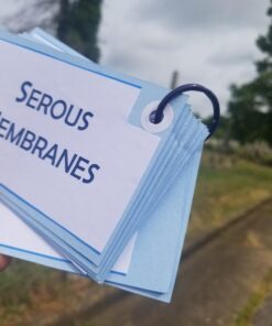 Charles Leonard Loose Leaf Rings, 1" Diameter, Metallic Assorted Colors, (85000), 50 per pack Assorted Metallic Colors 50 Count 1 Inch Diameter 21 61Y5ii EidL