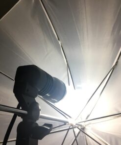 LimoStudio, 700W Output Lighting Series, LMS103, Soft Continuous Lighting Kit for White and Black Umbrella Reflector with Accessory and Carry Bag 50 61Y6KFpVPHL