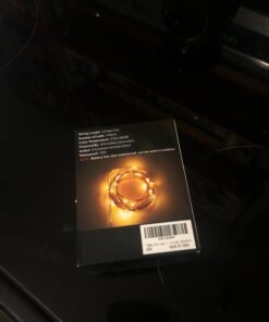 TingMiao Fairy Lights 33ft 100 LED String Lights Battery Operated with Remote Waterproof Copper Wire Lights for Indoor Decorative Lights Warm White 32 61Y9MG1ygSL