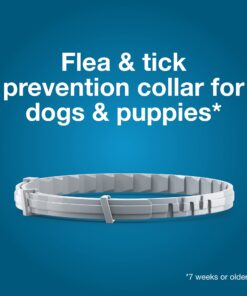 Seresto Large Dog Vet-Recommended Flea & Tick Treatment & Prevention Collar for Dogs Over 18 lbs. | 8 Months Protection 1 Pack Large Dog Only 25 61YGRWPMpzL