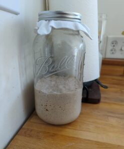 Ball 1 64oz Wide Mouth Half Gallon Mason Jar 35 61YPDbwHivL